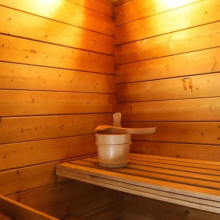 Duplex 5 Pièces 11 Pers, Sauna, Parking, Animaux Admis - Fr-1-676-18 * Châtel